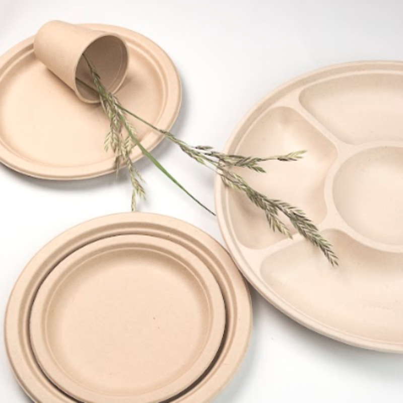 Set x 10 Plato Aston 23cm Descartable Biodegradable Reciclable Ecológico
